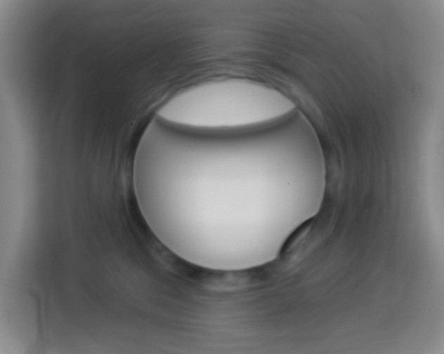 X0000114120329200910051304