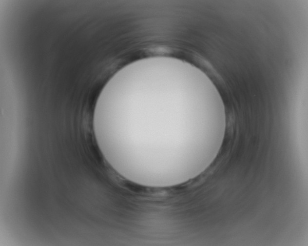 X0000114120330200910051304