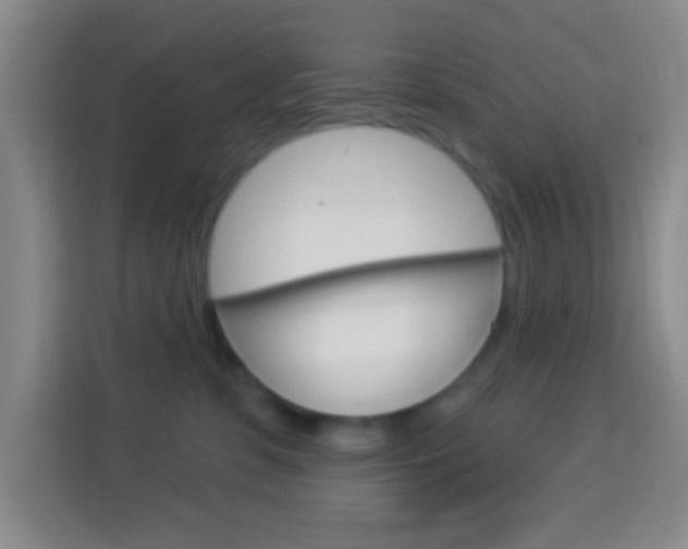 X0000114120331200910051304