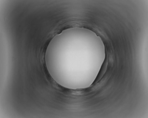 X0000114120332200910051304