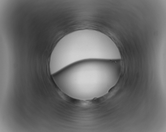 X0000114120333200910051304