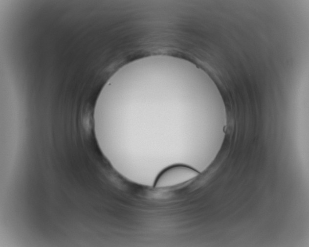 X0000114120334200910051304