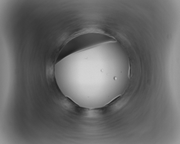 X0000114120336200910051304