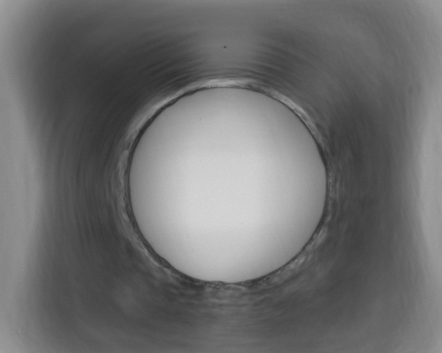 X0000114120337200910051303