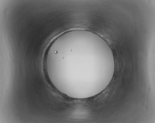 X0000114120338200910051304