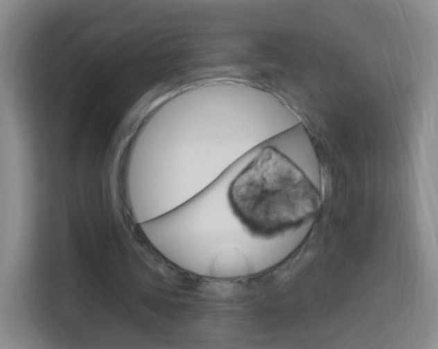 X0000114120339200910051304