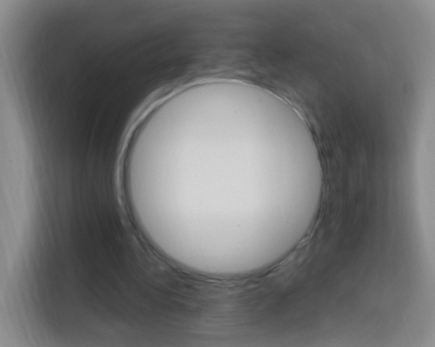 X0000114120340200910051304
