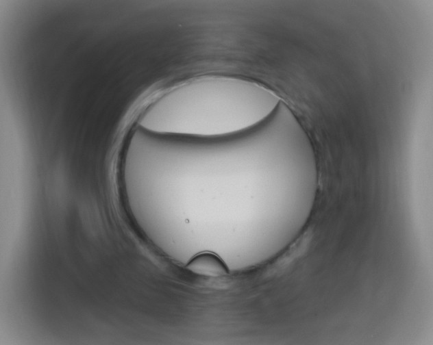 X0000114120341200910051304
