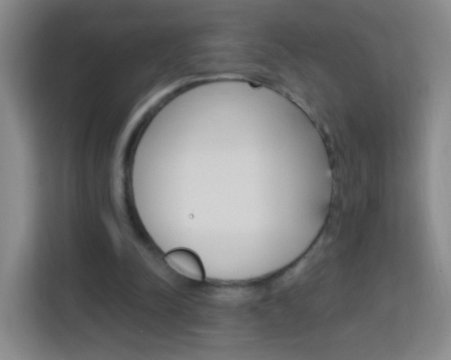 X0000114120342200910051304