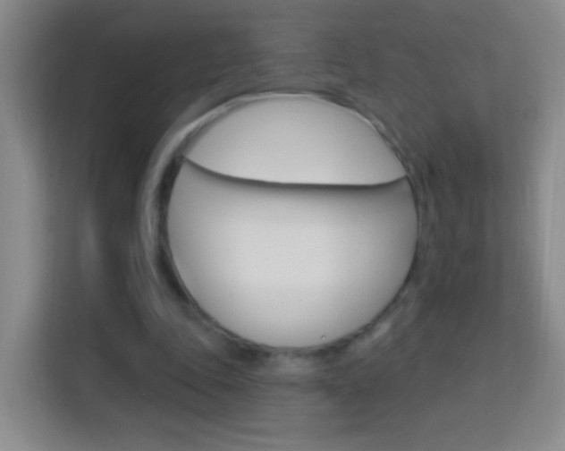 X0000114120343200910051304
