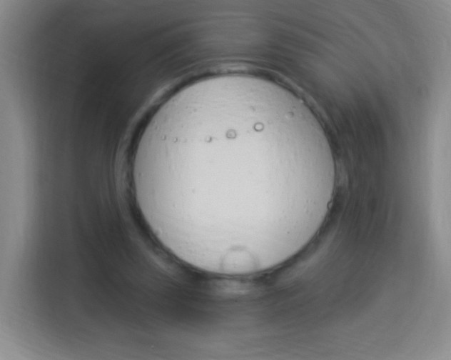 X0000114120347200910051304