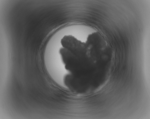 X0000114120351200910051304