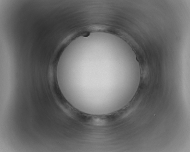 X0000114120352200910051304