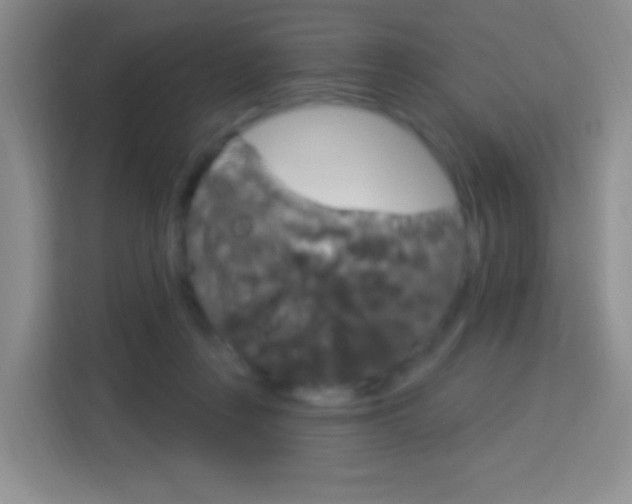 X0000114120359200910051304