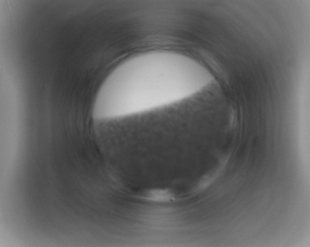 X0000114120363200910051304