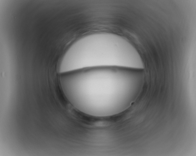 X0000114120364200910051304