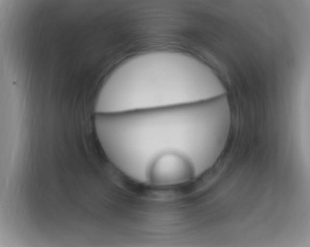 X0000114120366200910051304