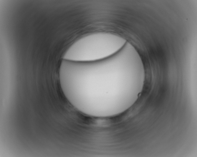 X0000114120371200910051304
