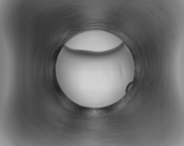 X0000114120379200910051304