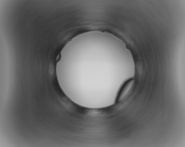 X0000114120380200910051304