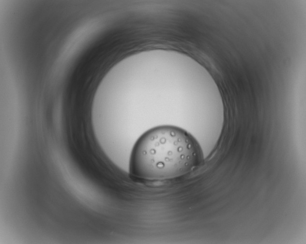 X0000114120382200910051304