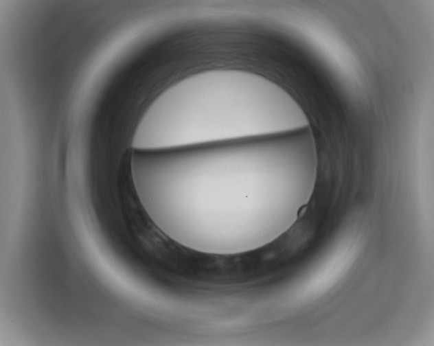 X0000114120383200910051304