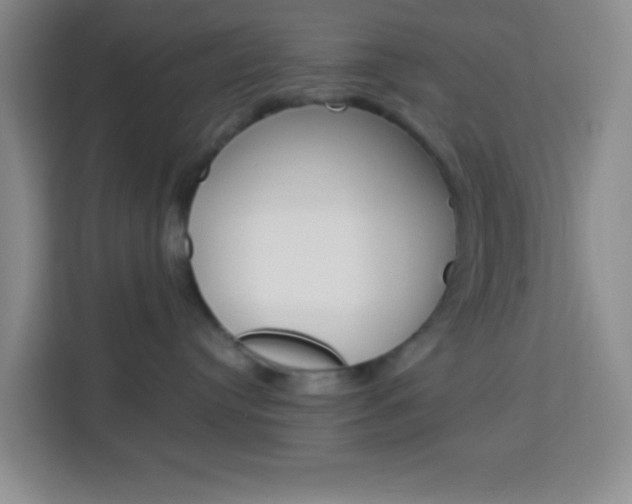 X0000114120384200910051304