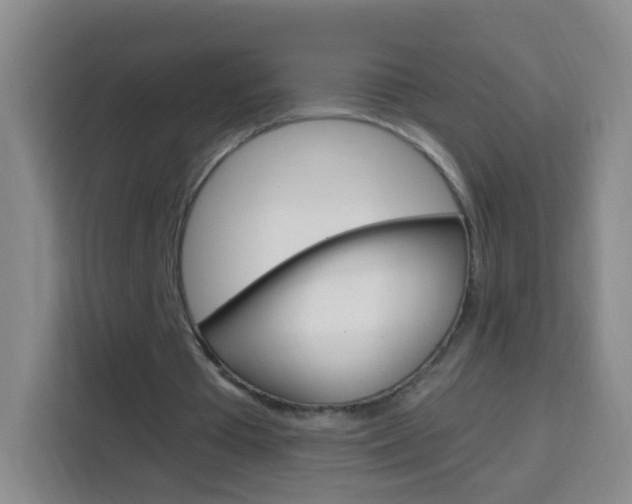 X0000114120385200910051303