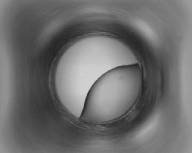 X0000114120387200910051303