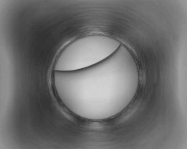 X0000114120390200910051303