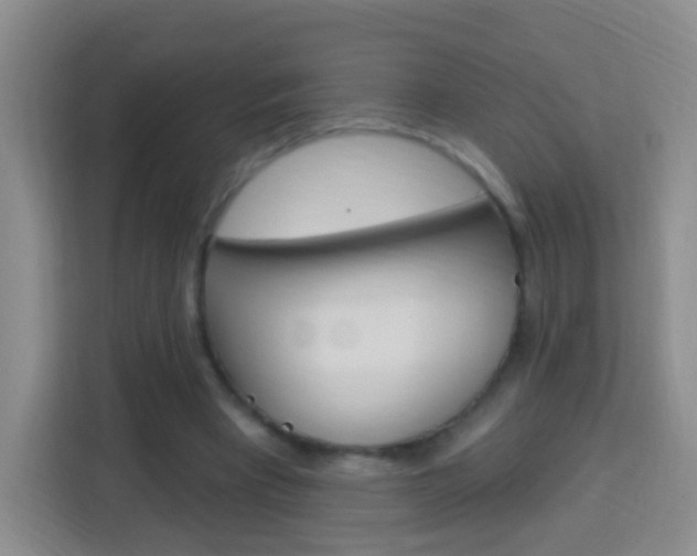 X0000114120393200910051303
