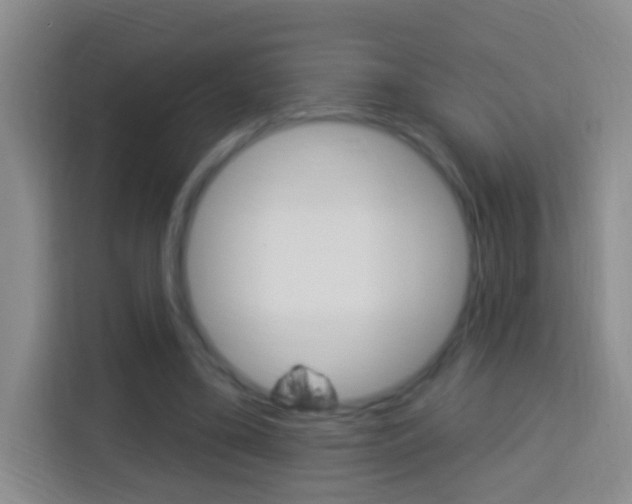 X0000114120395200910051303