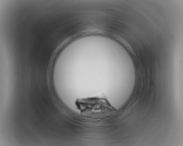 X0000114120399200910051303