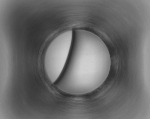 X0000114120400200910051303