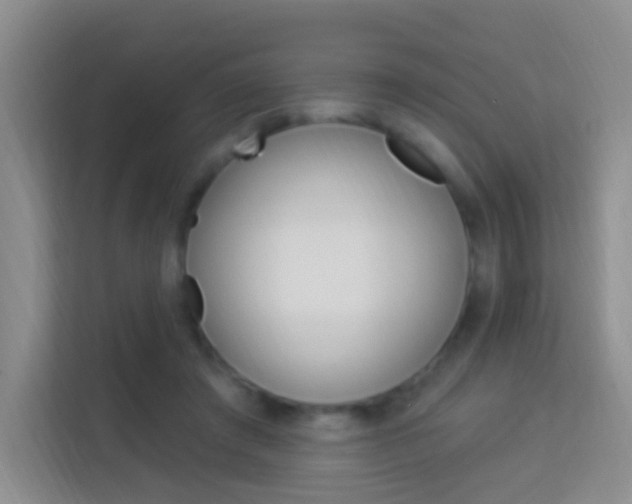 X0000114120401200910051303