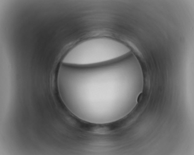 X0000114120403200910051303
