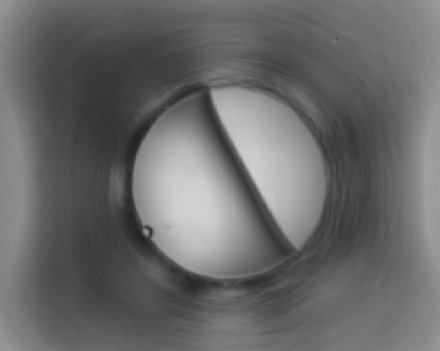 X0000114120404200910051303