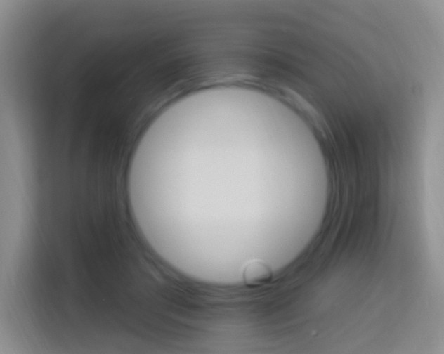 X0000114120405200910051303
