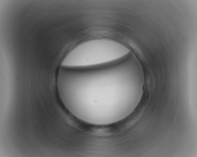 X0000114120407200910051303