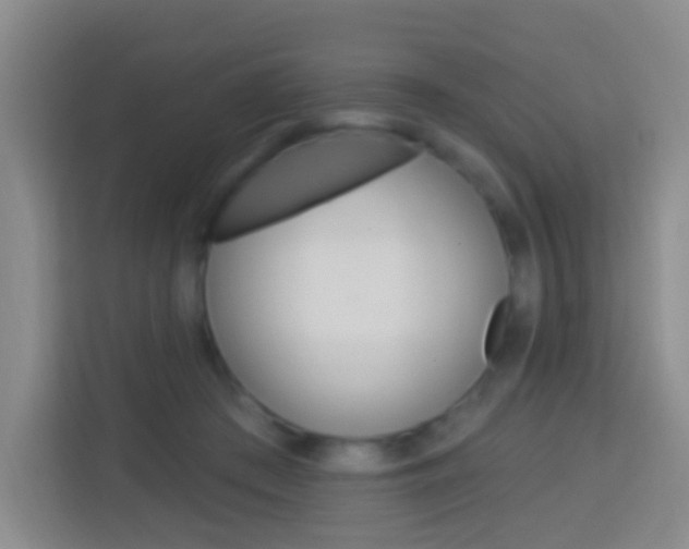 X0000114120409200910051303