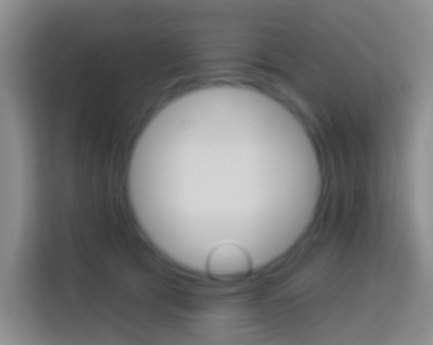 X0000114120417200910051303