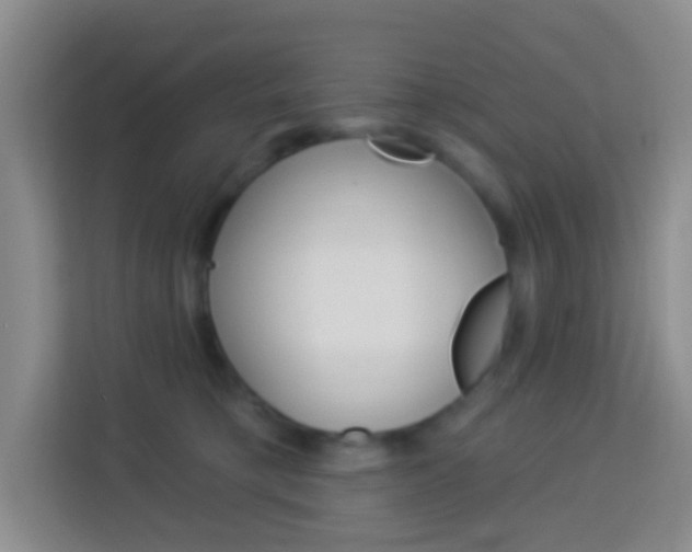 X0000114120421200910051303