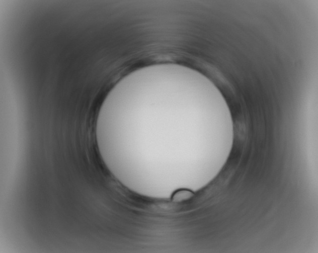X0000114120422200910051303