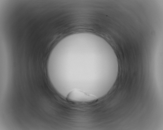 X0000114120423200910051303