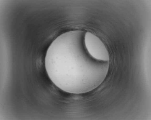 X0000114120424200910051303