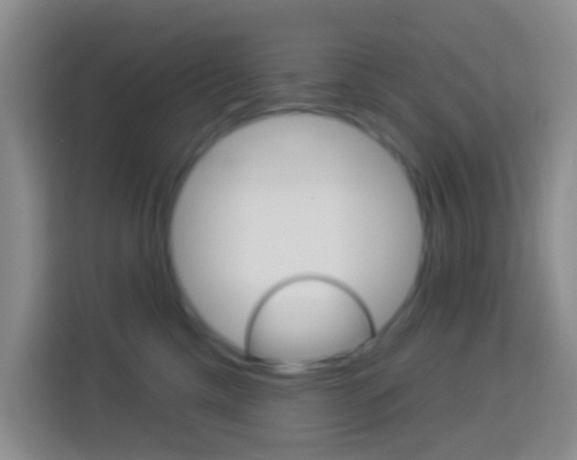 X0000114120425200910051303