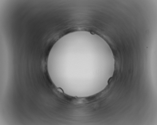 X0000114120427200910051303