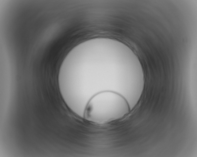 X0000114120429200910051303