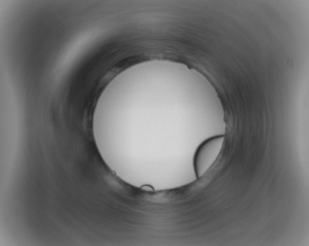 X0000114120430200910051303