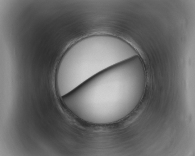 X0000114120434200910051302